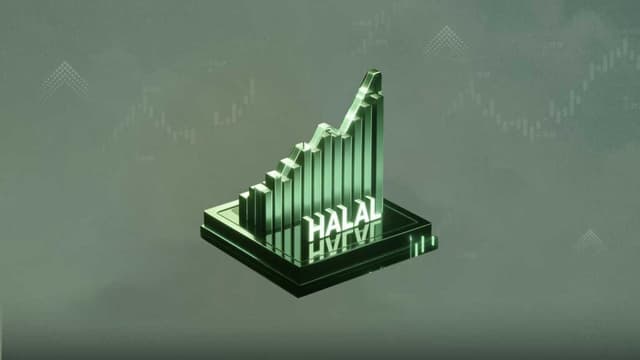 الأسهم النقية: استثمار شرعي آمن وفق الضوابط المالية