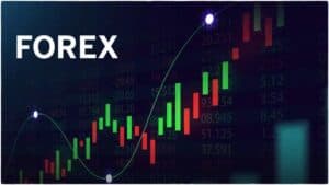 ما هو أفضل وسيط فوركس للتداول؟